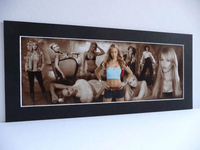 Laura Vandervoort Print