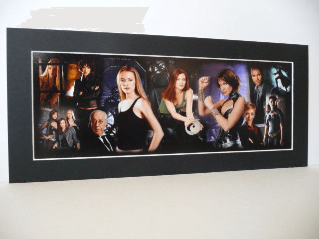 Birds of Prey Print